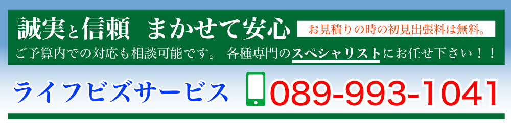 ライフビズサービス